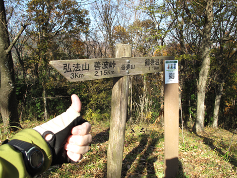 20151209hike (175)